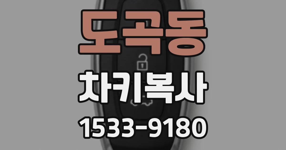 도곡동 차키복사