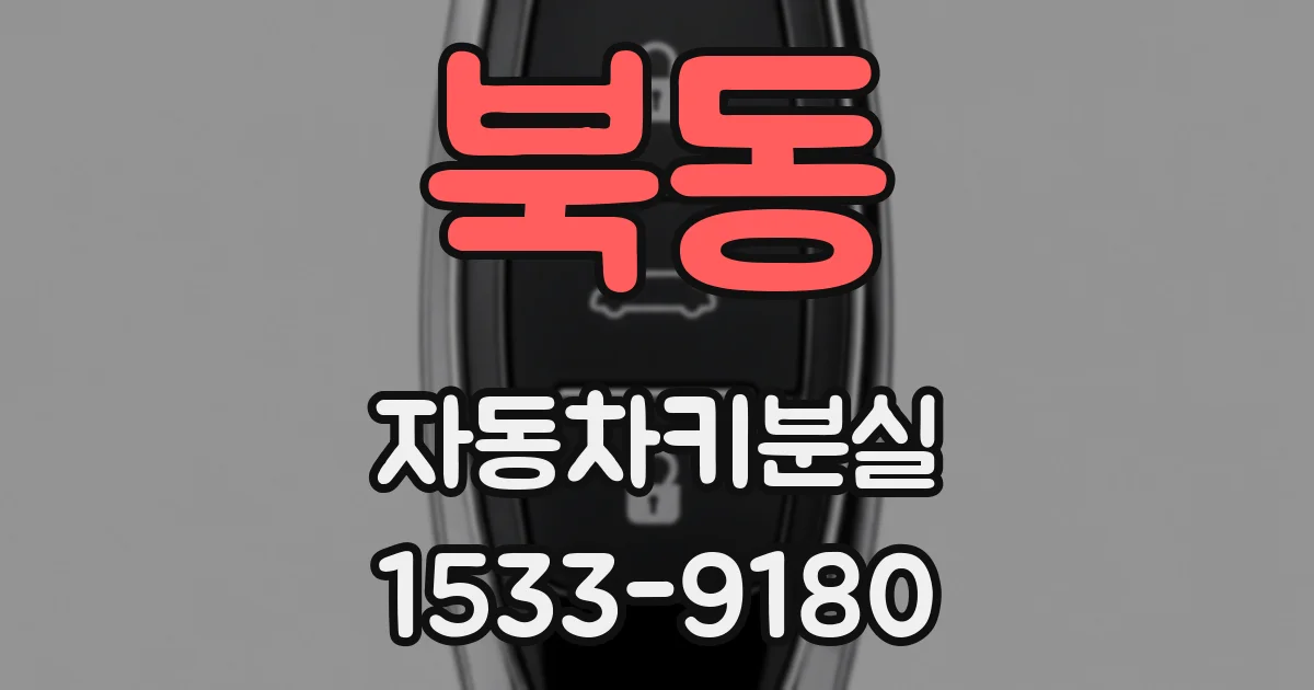 북동 자동차키분실