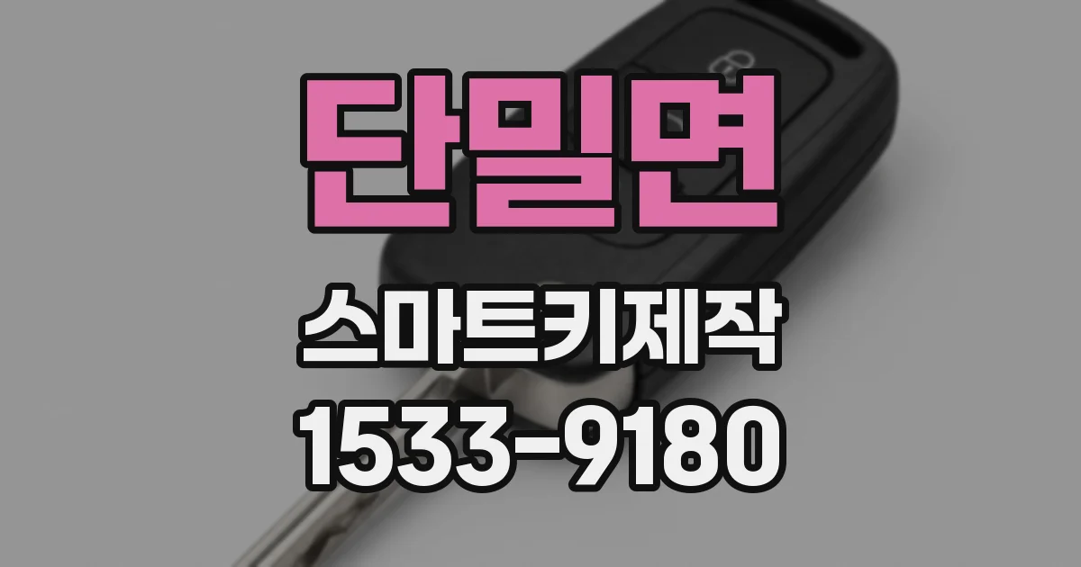 단밀면 스마트키제작