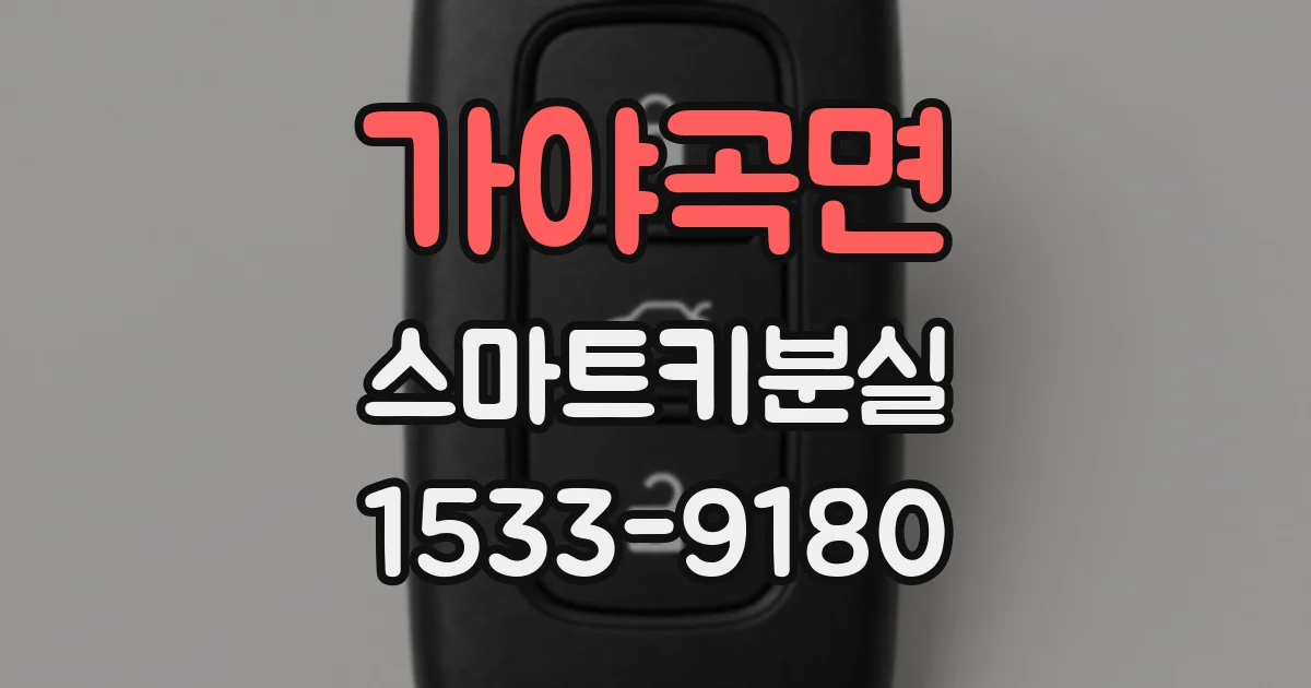 가야곡면 스마트키분실