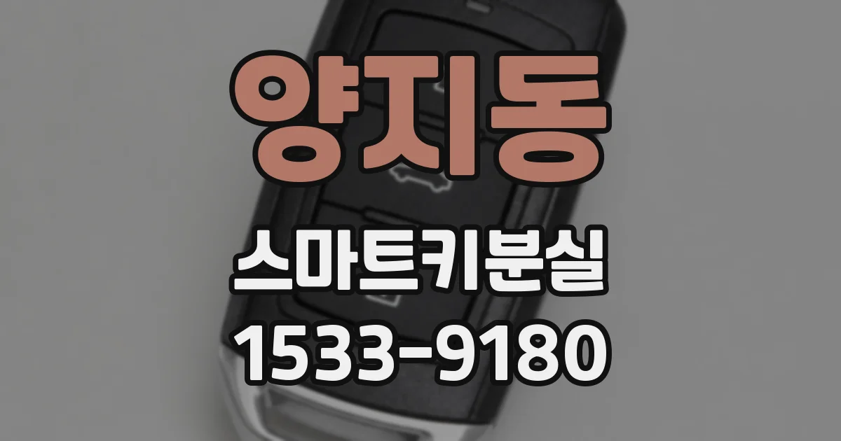 양지동 스마트키분실