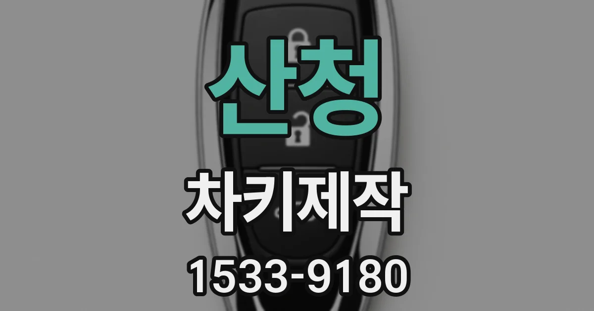 산청 차키제작