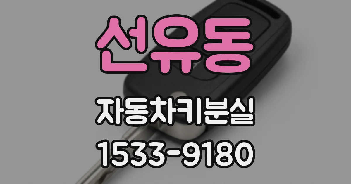 선유동 자동차키분실