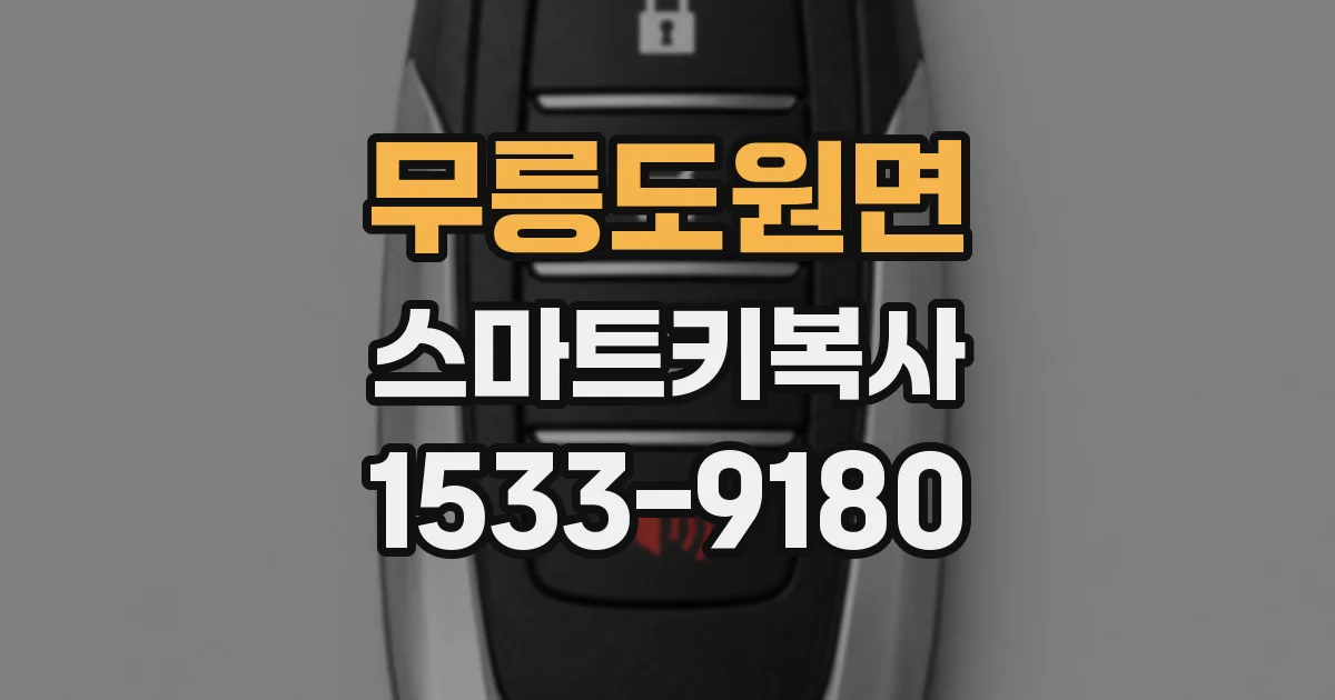무릉도원면 스마트키복사