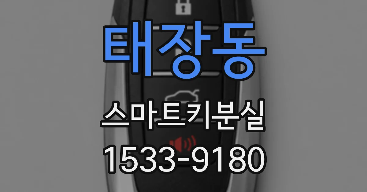태장동 스마트키분실