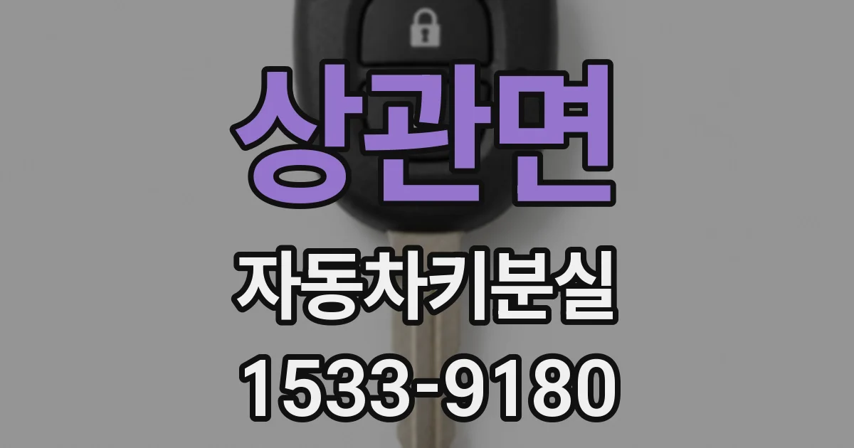 상관면 자동차키분실