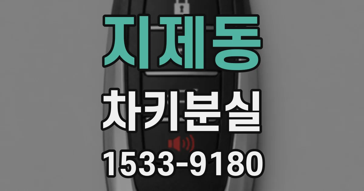지제동 차키분실