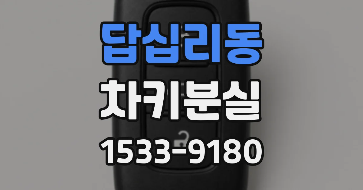 답십리동 차키분실