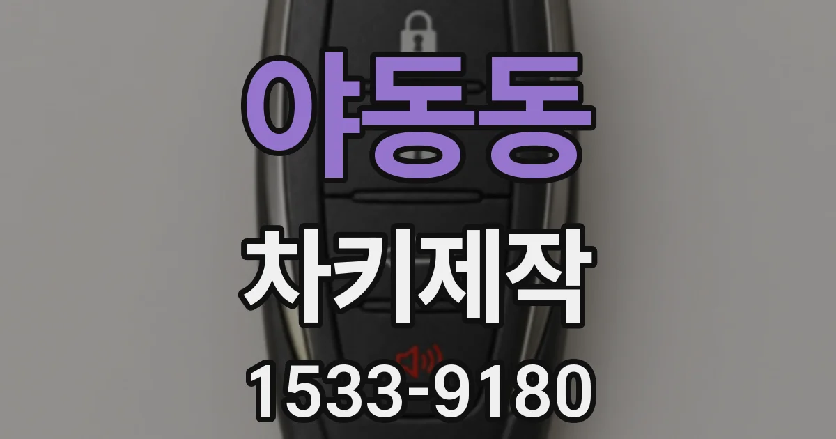 야동동 차키제작