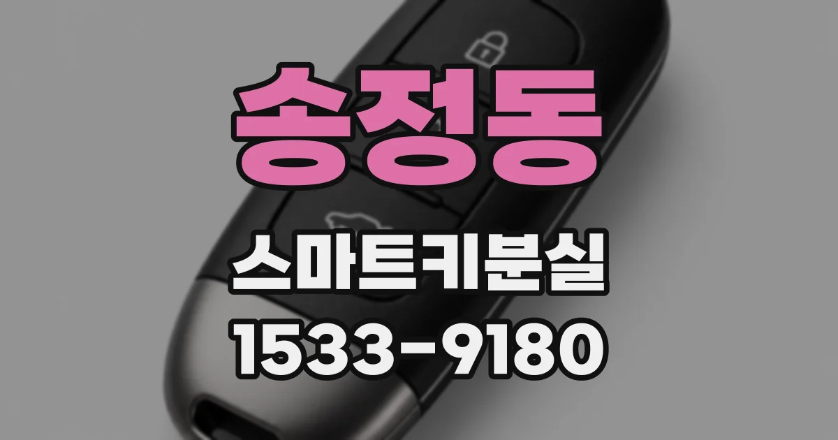 송정동 스마트키분실