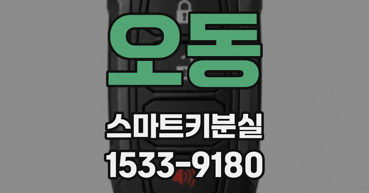 오동 스마트키분실