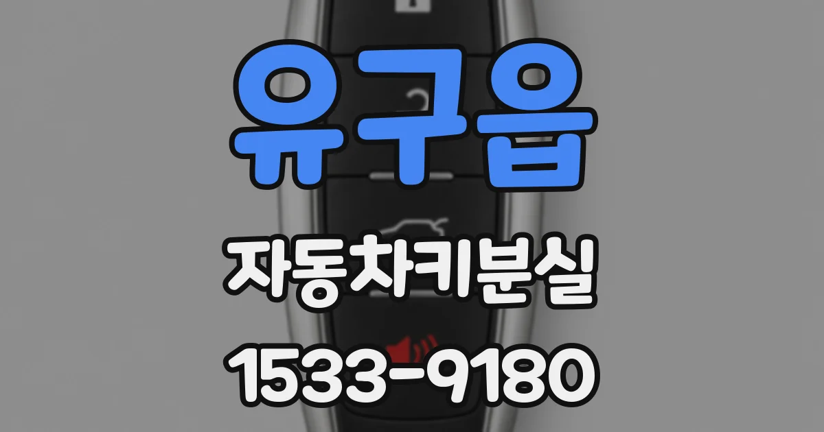 유구읍 자동차키분실