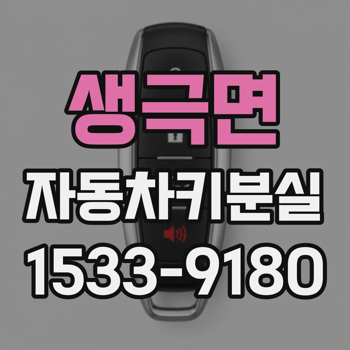 생극면 자동차키분실