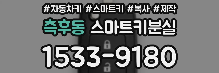 측후동 스마트키분실