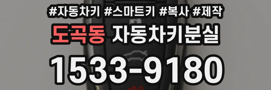 도곡동 자동차키분실