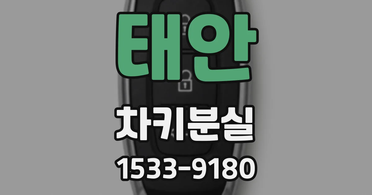태안 차키분실