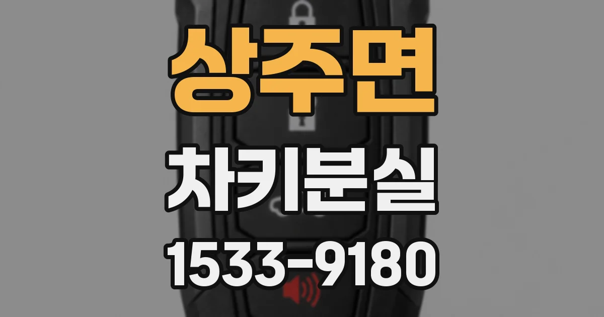상주면 차키분실