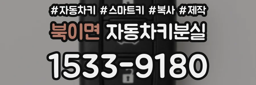 북이면 자동차키분실