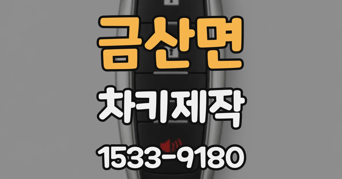금산면 차키제작