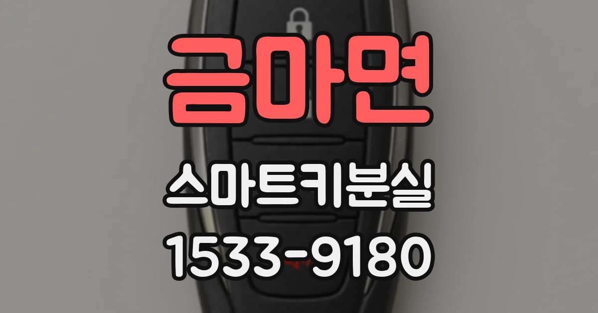 금마면 스마트키분실