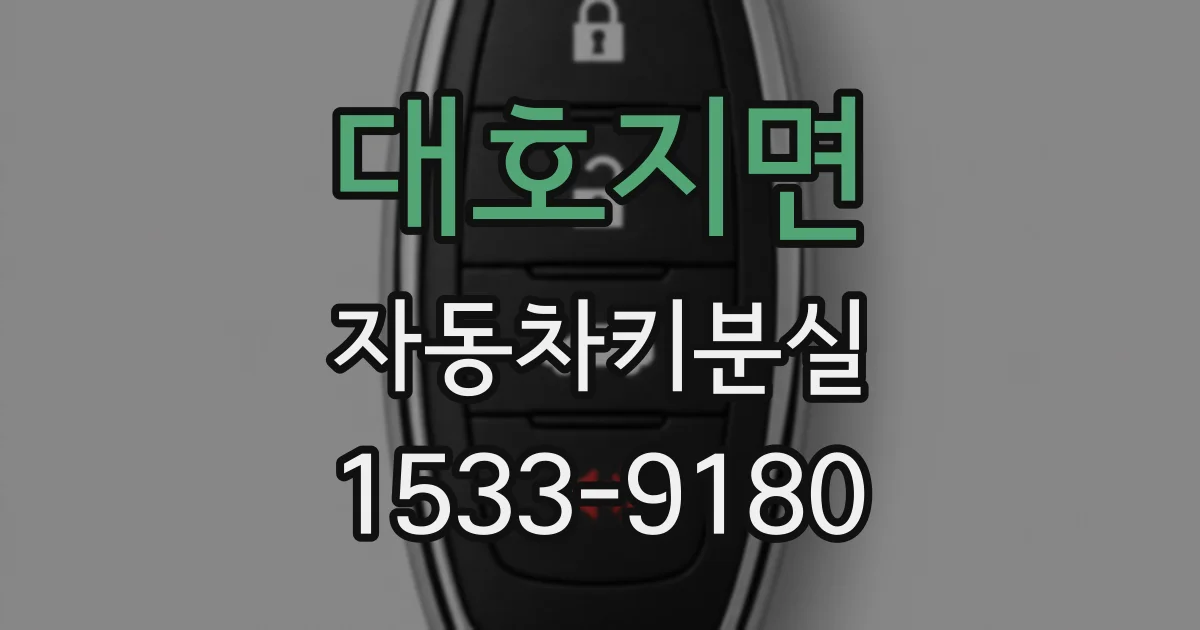 대호지면 자동차키분실