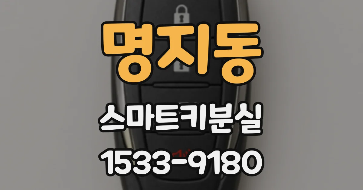 명지동 스마트키분실