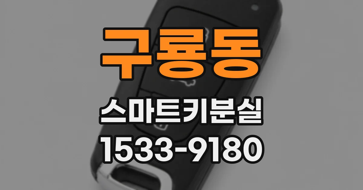 구룡동 스마트키분실