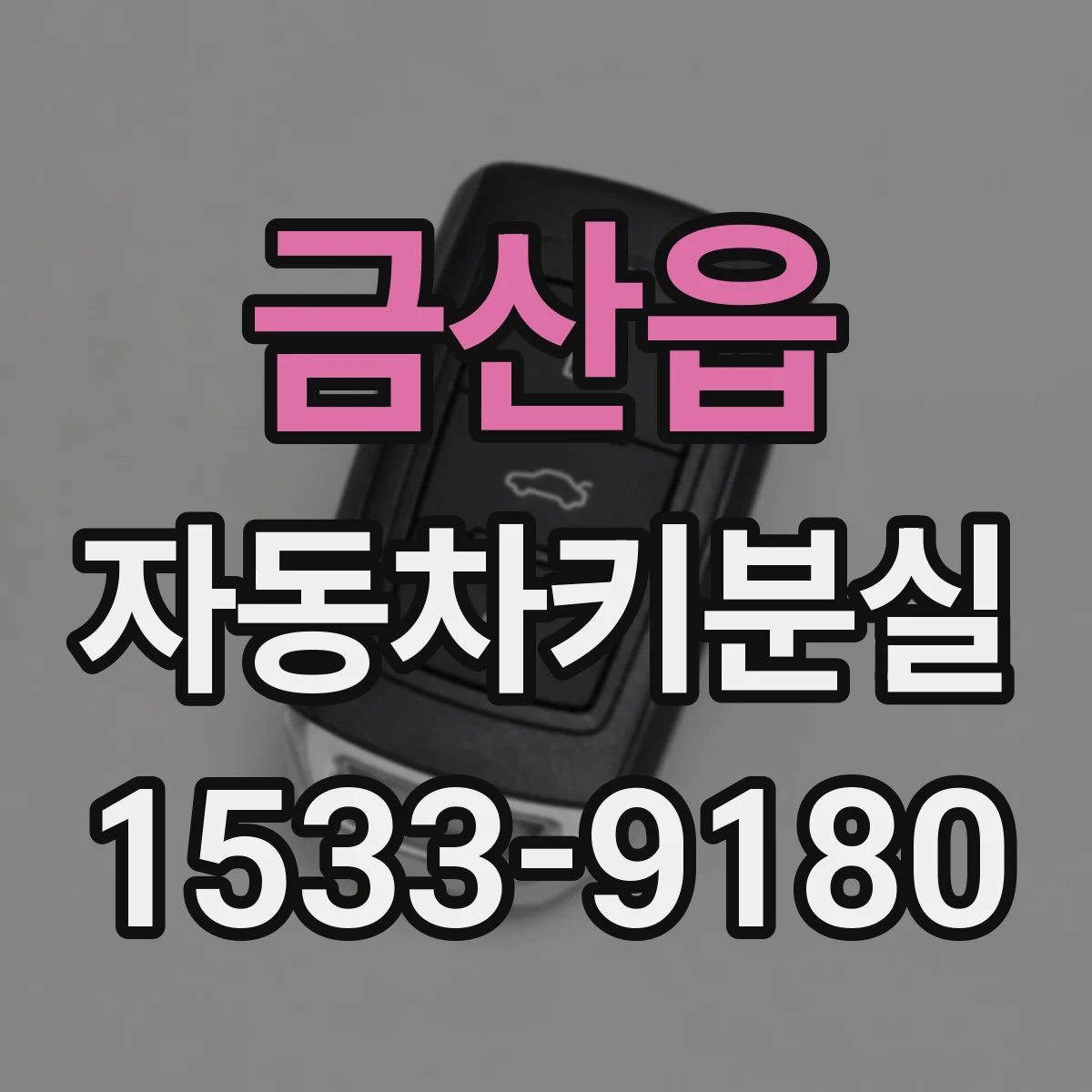 금산읍 자동차키분실