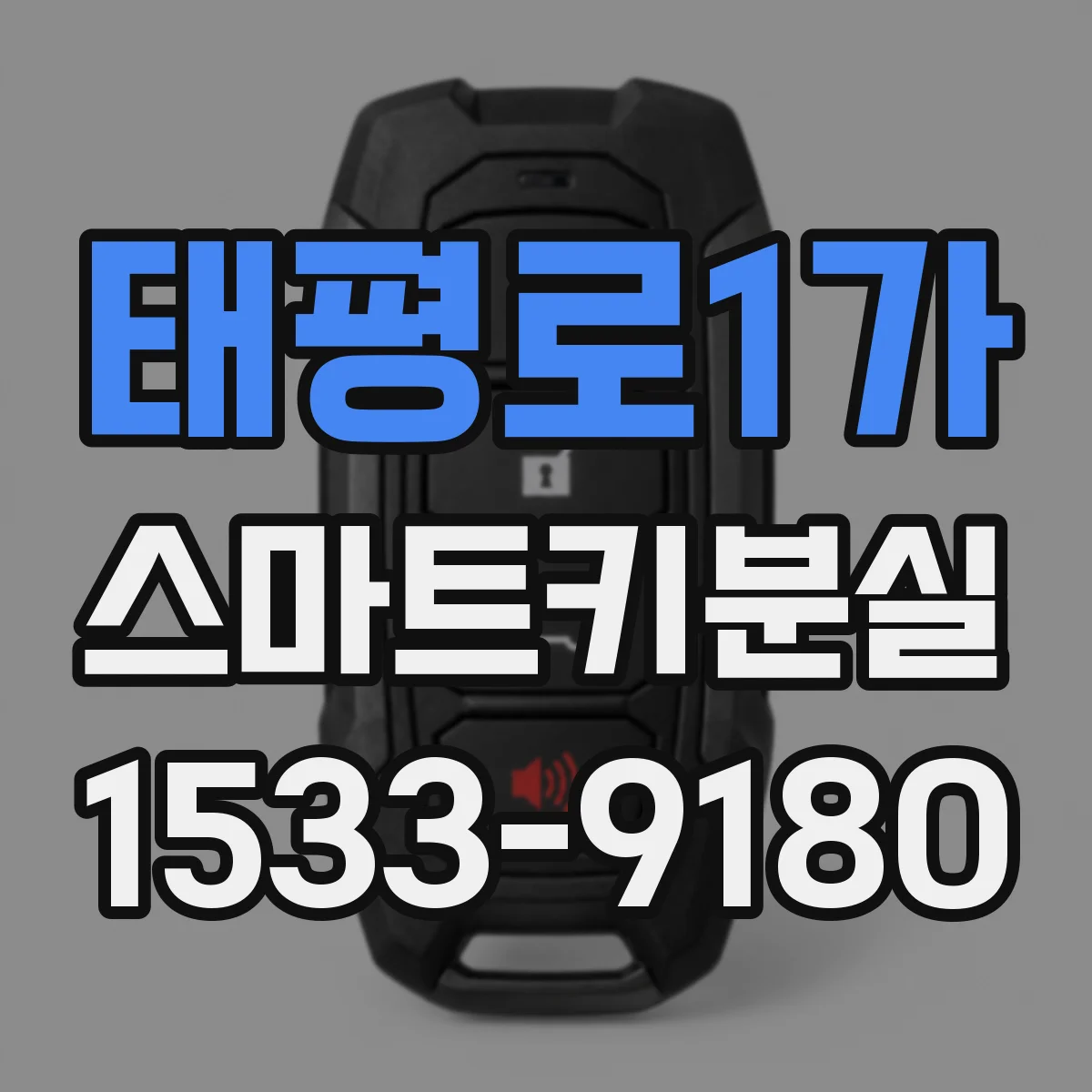 태평로1가 스마트키분실