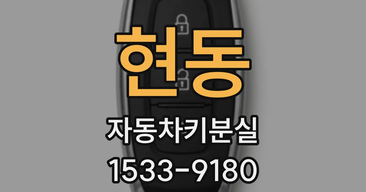 현동 자동차키분실