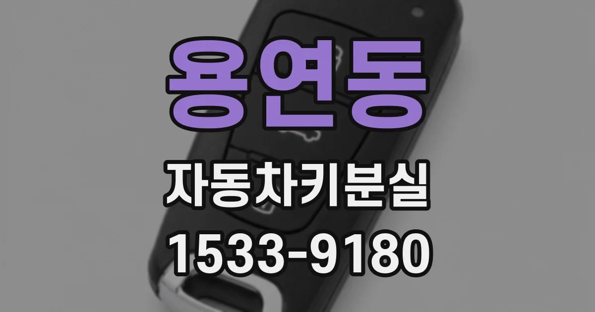 용연동 자동차키분실