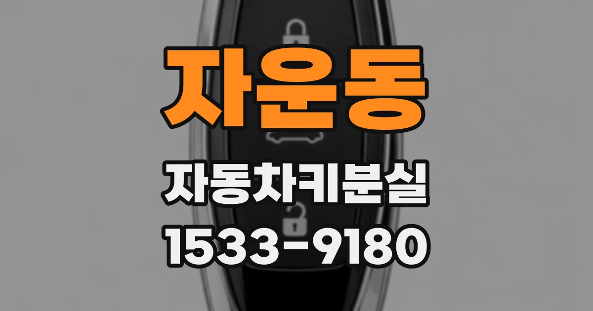자운동 자동차키분실