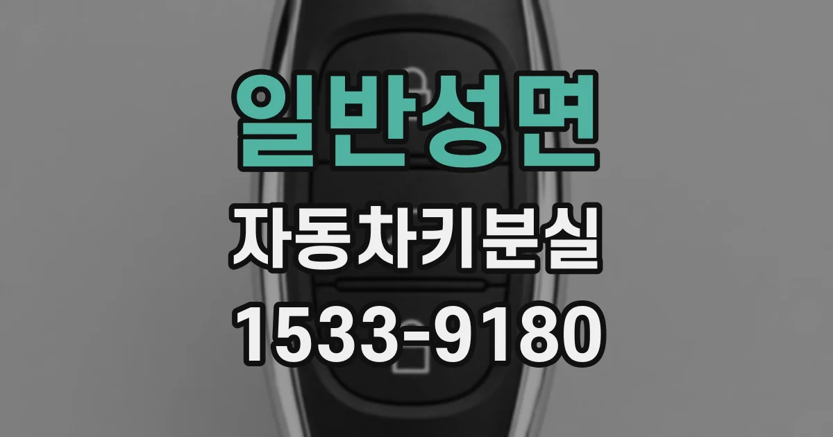 일반성면 자동차키분실