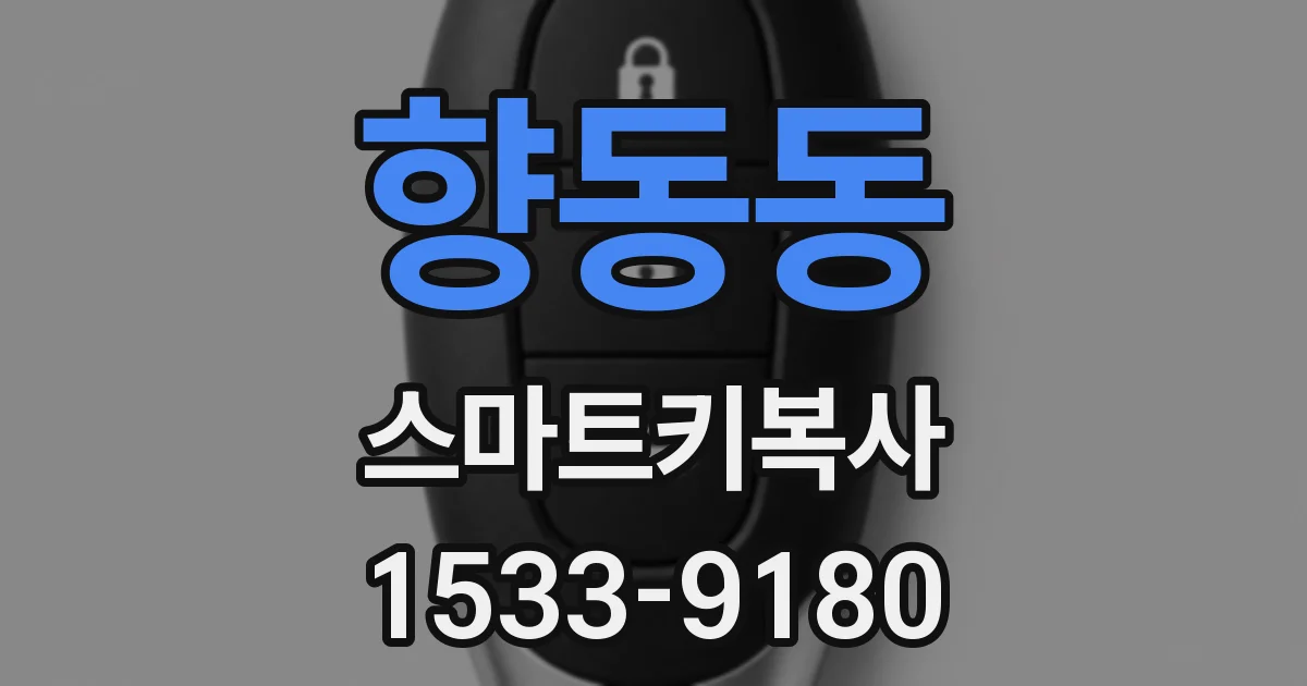 향동동 스마트키복사