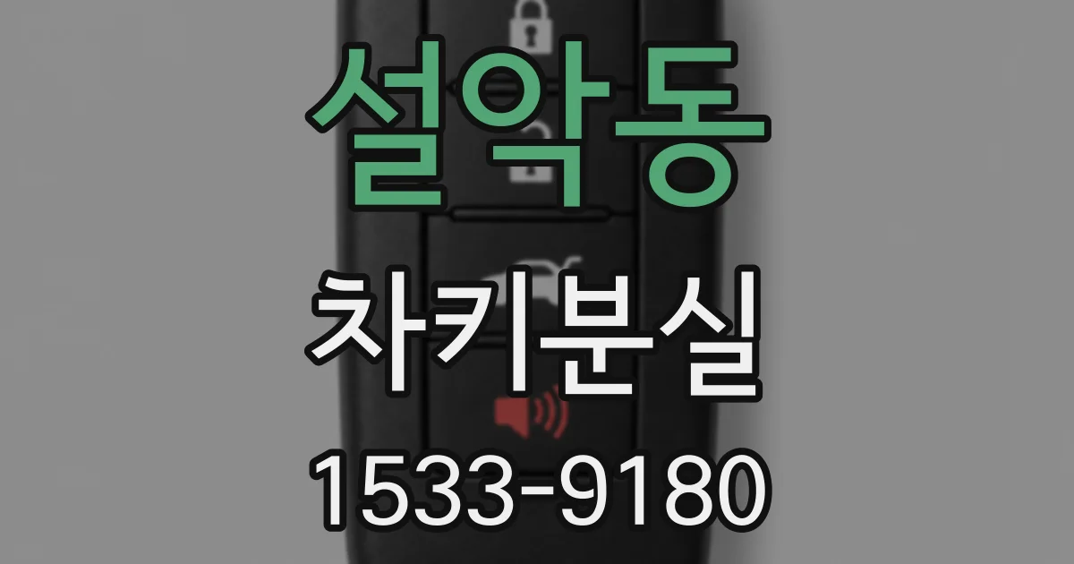 설악동 차키분실