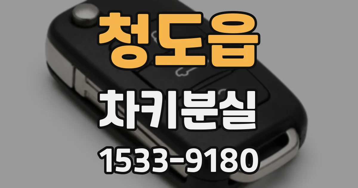 청도읍 차키분실