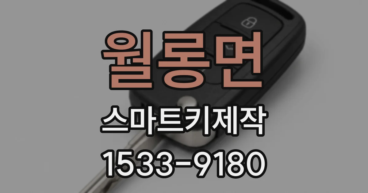 월롱면 스마트키제작