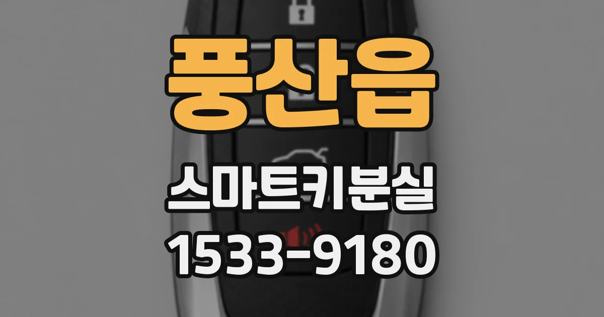 풍산읍 스마트키분실