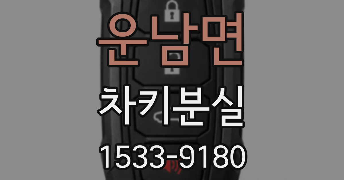 운남면 차키분실