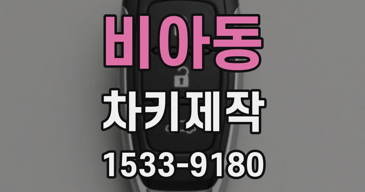 비아동 차키제작