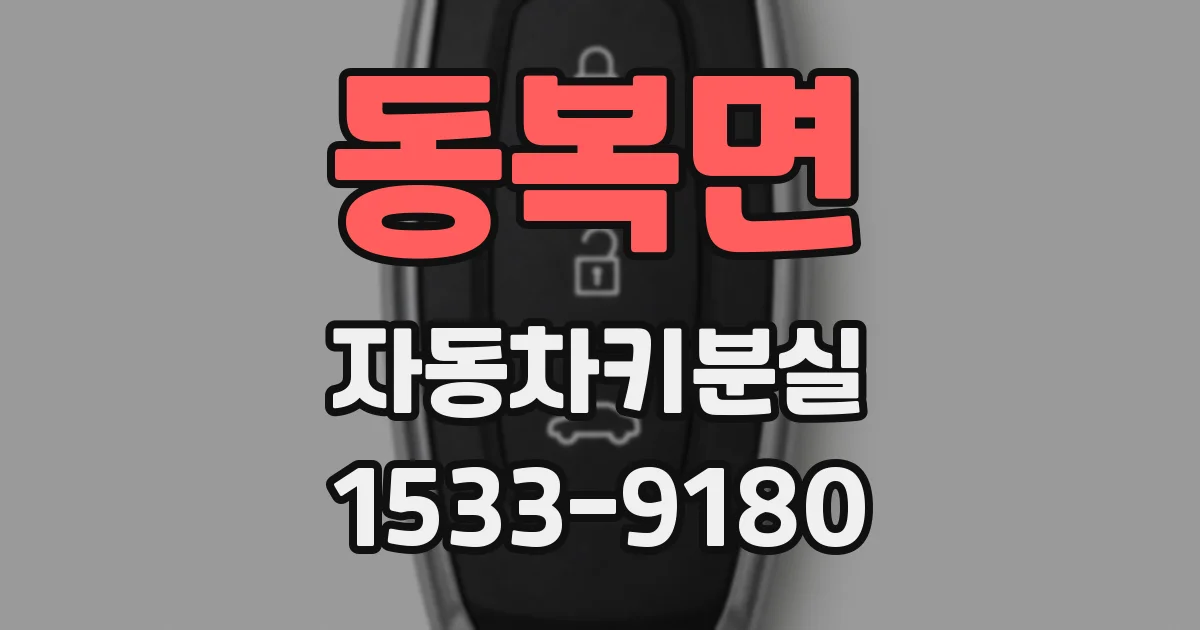 동복면 자동차키분실