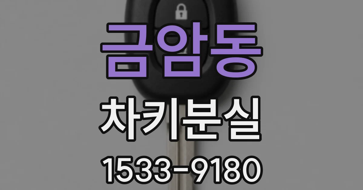 금암동 차키분실