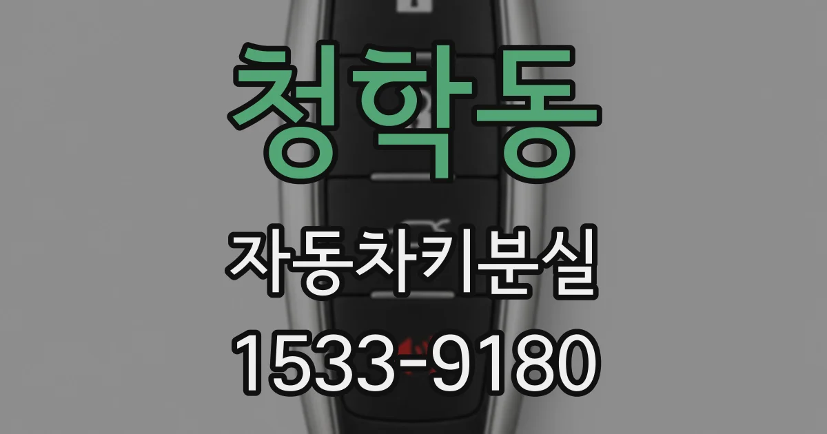 청학동 자동차키분실