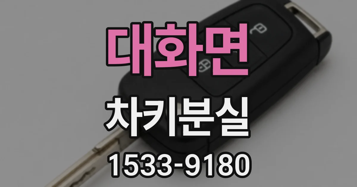 대화면 차키분실