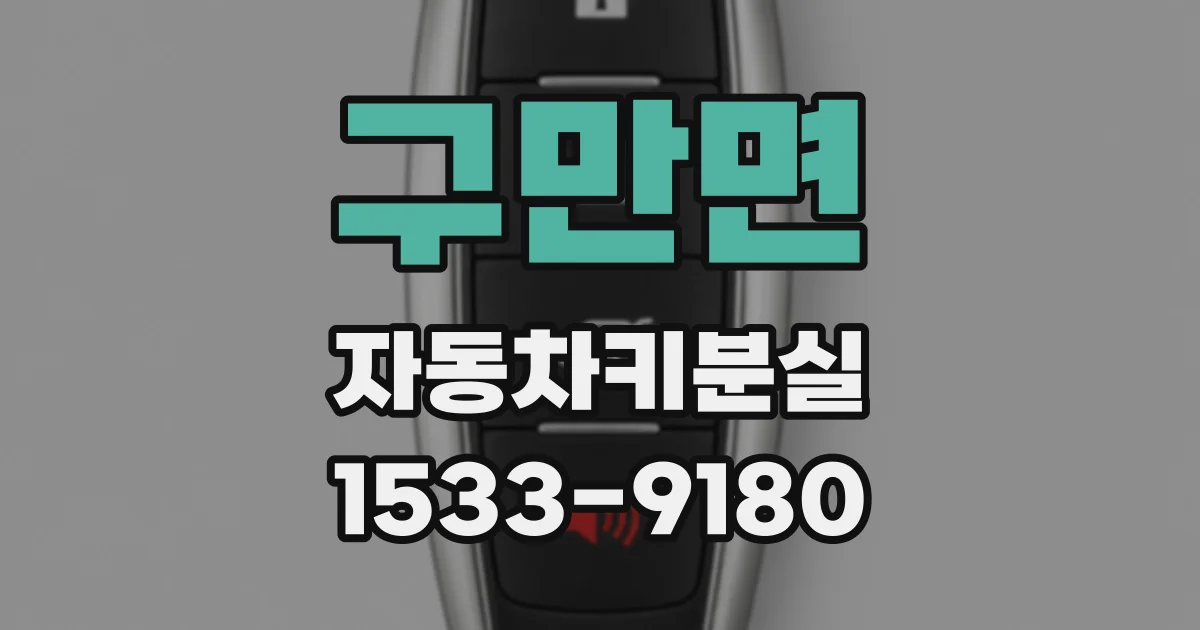 구만면 자동차키분실