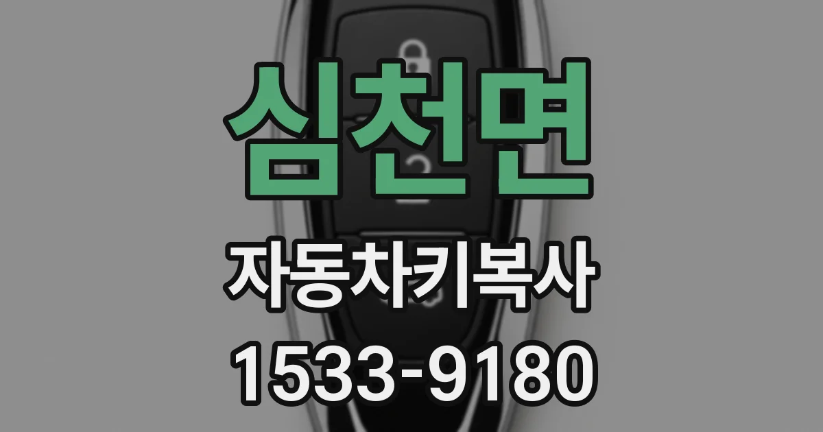 심천면 자동차키복사