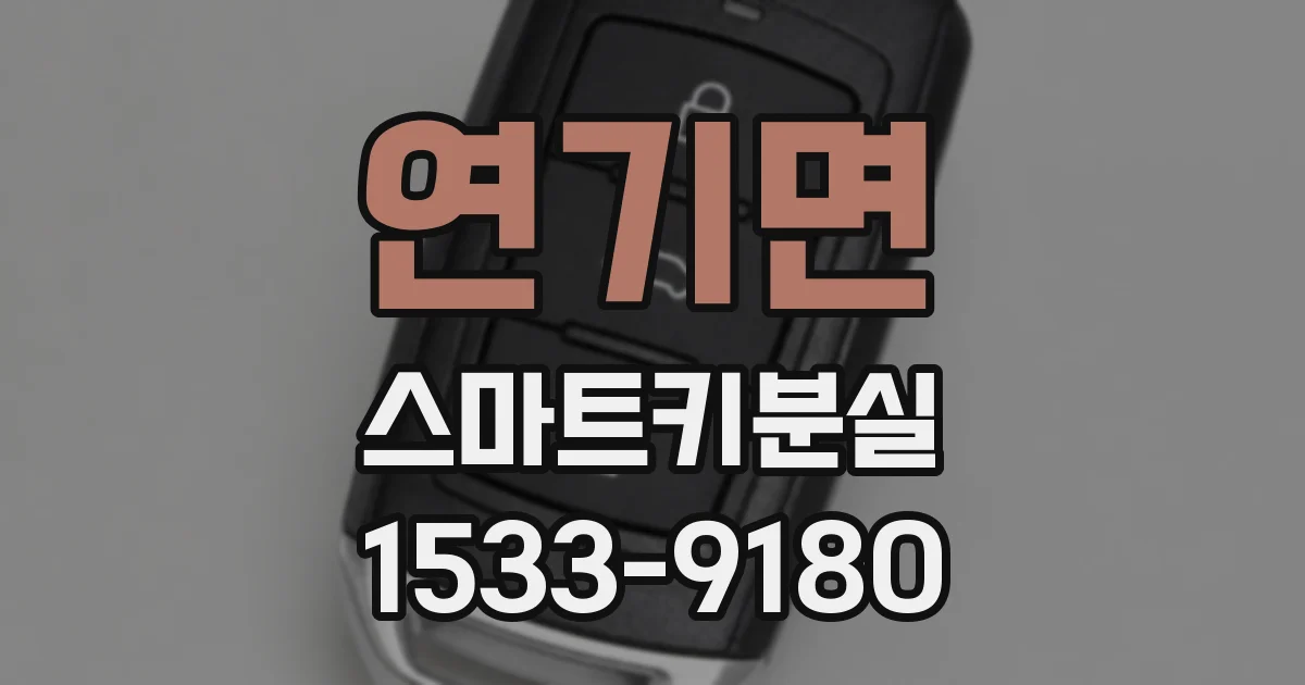 연기면 스마트키분실