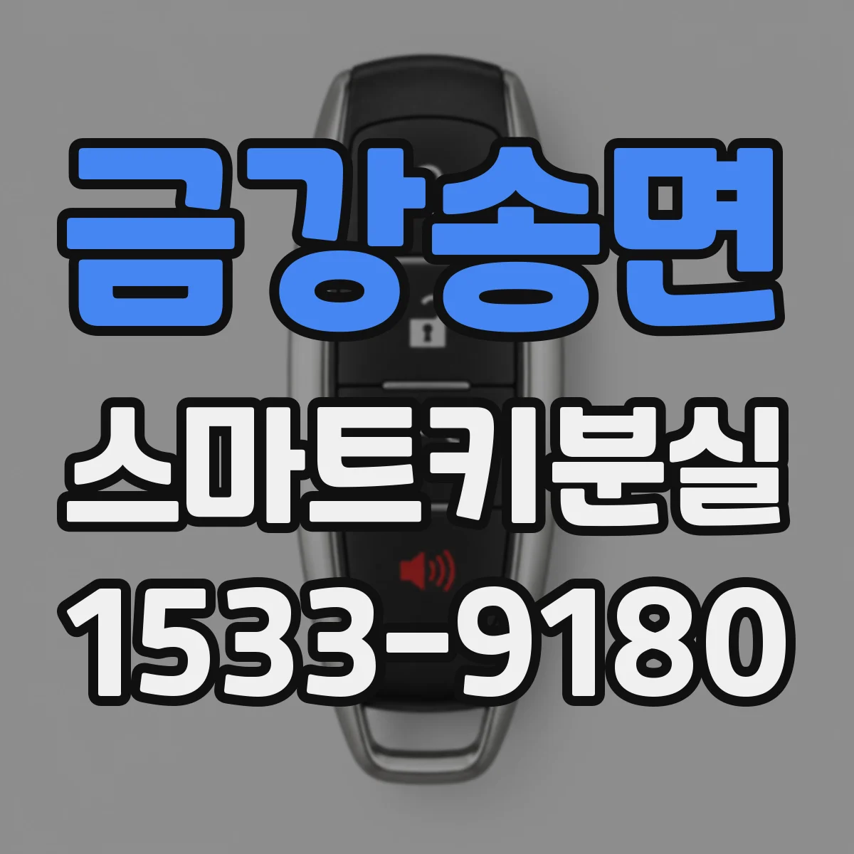금강송면 스마트키분실
