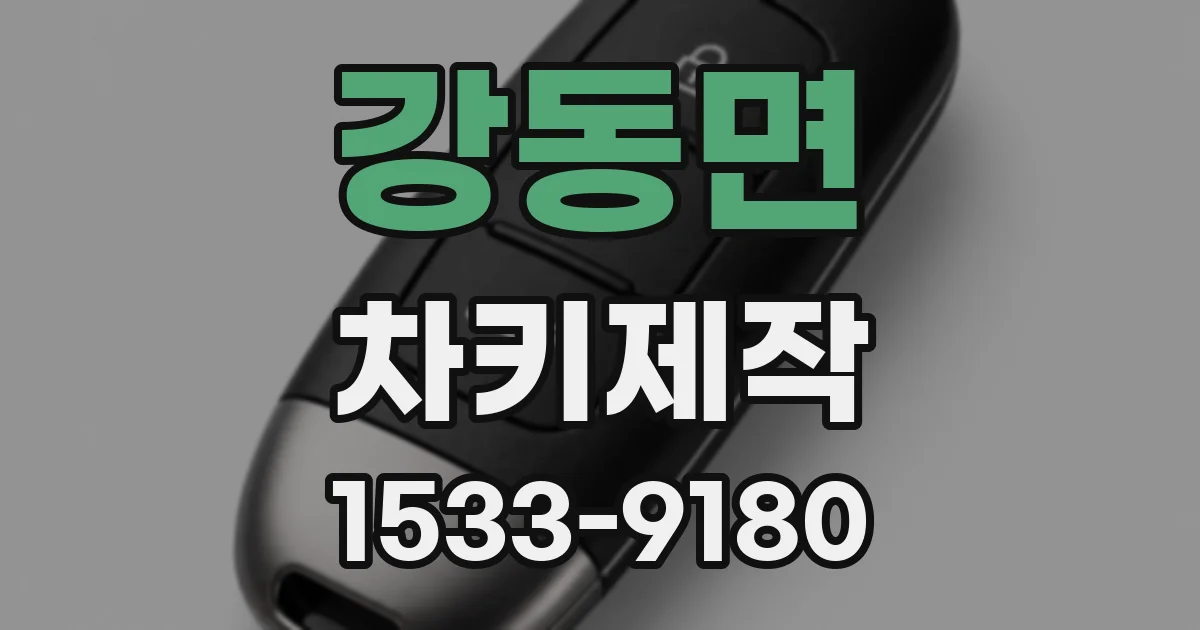 강동면 차키제작