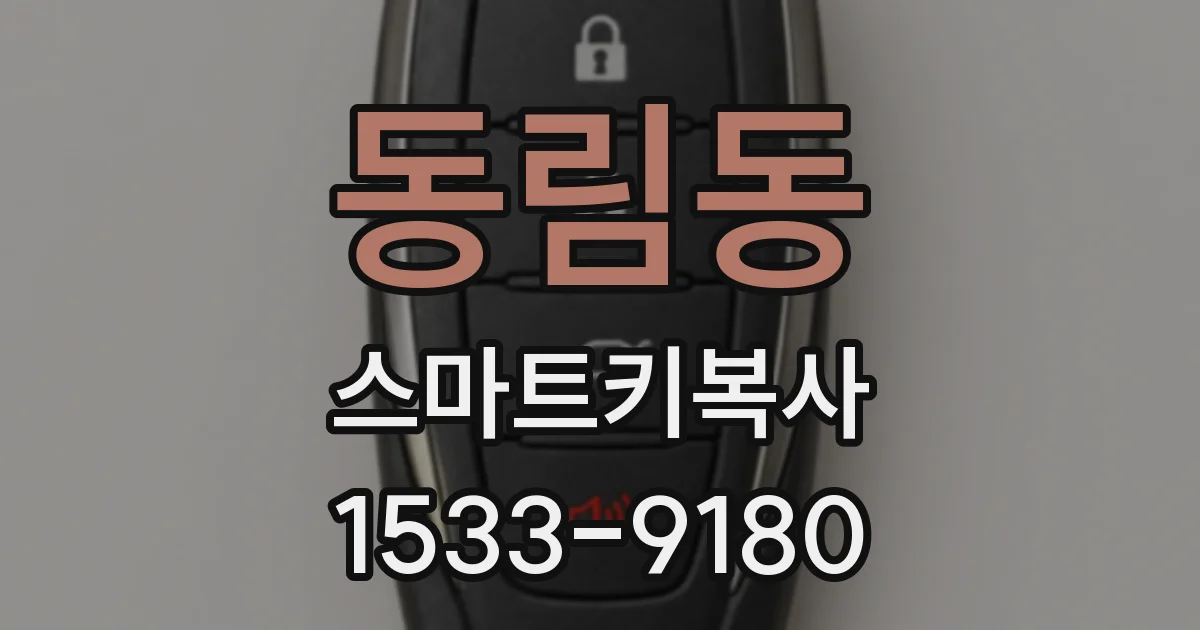 동림동 스마트키복사